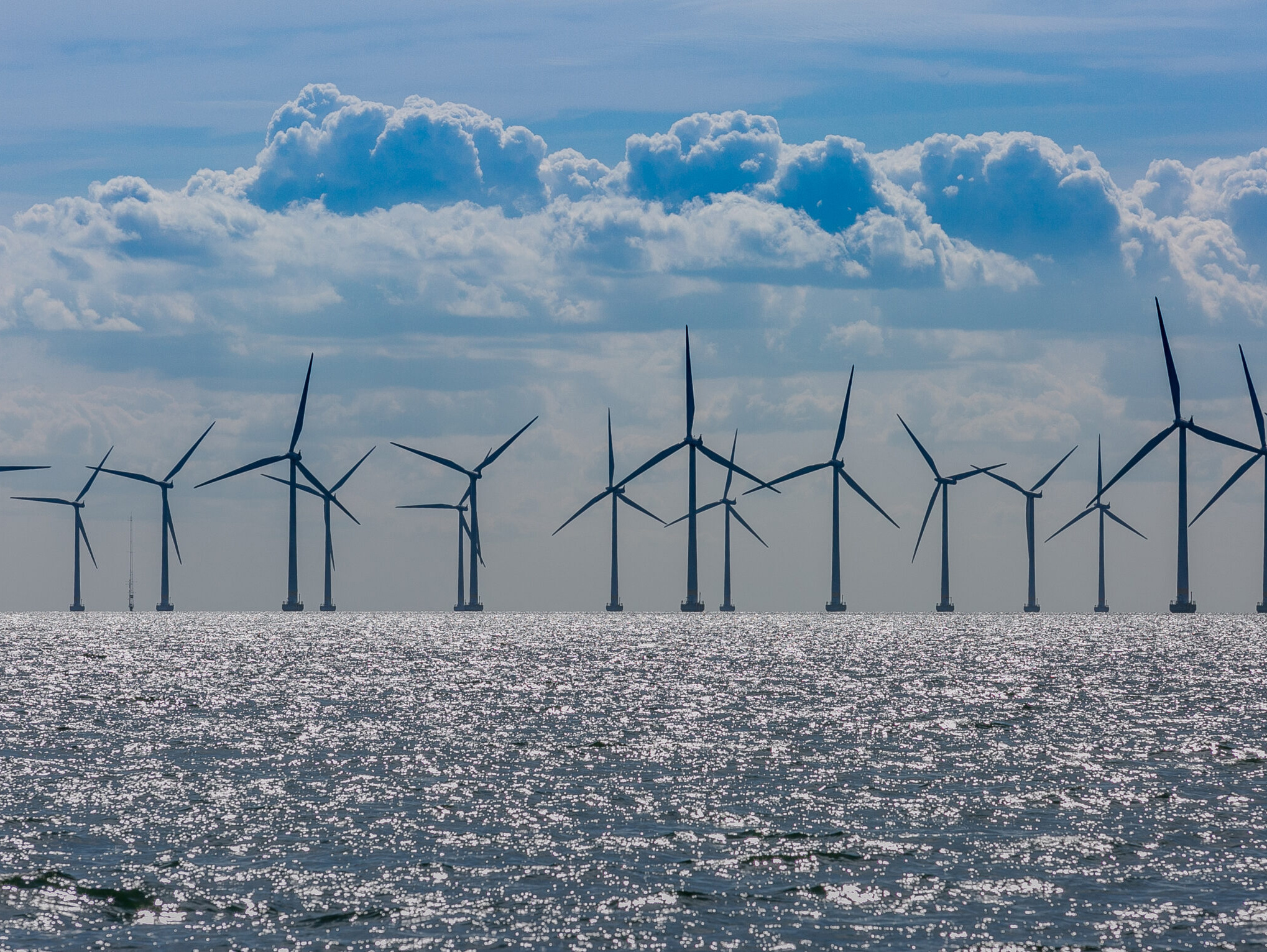 2025 年、ドイツの風力発電業界は一致団結して変化を求めています。